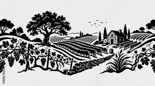 Bild auf Leinwand Vineyard landscape with house and trees