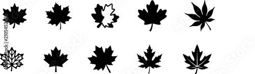 Maple leaf silhouette vector set, 10 black autumn foliage icons, Canadian maple leaf symbols for logo design and fall season branding