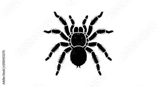 Fotografía Black Tarantula Spider Silhouette Icon Isolated on White Background, Top View