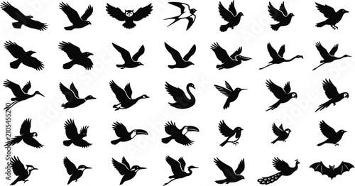 A collection of various bird silhouettes in flight on a white background