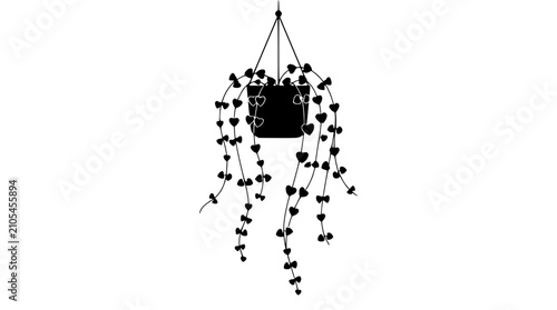 Photos Silhouette of a hanging succulent plant with heart-shaped leaves against a white background