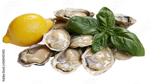 Foto Fresh oysters with lemon and basil leaves