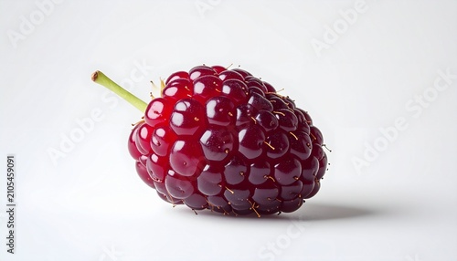 Close-up of a ripe, dark red mulberry fruit with stem.