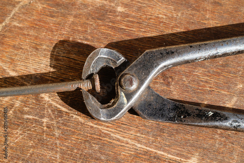 Slika na platnu Old rusty nail clamped in vintage iron pincers on wood background