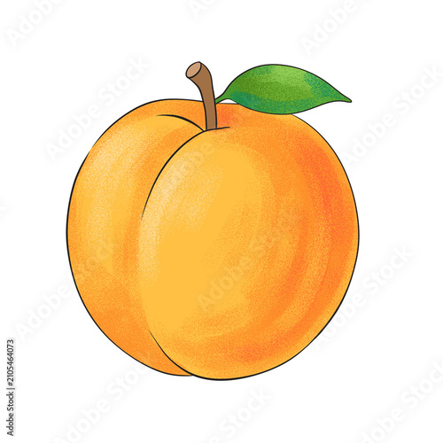 Obraz na płótnie Orange persimmon fruit PNG