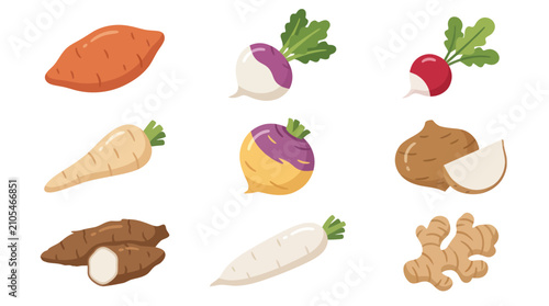 Bild auf Leinwand Assortment of root vegetables collection