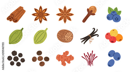 Bild auf Leinwand Assortment of spices and berries collection