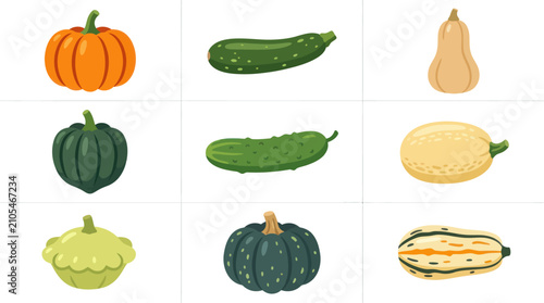 Photos Assortment of various squash and gourds