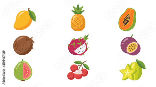 Assortment of tropical fruit illustrations