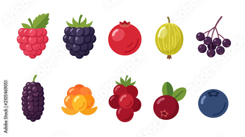 Foto Collection of various berries
