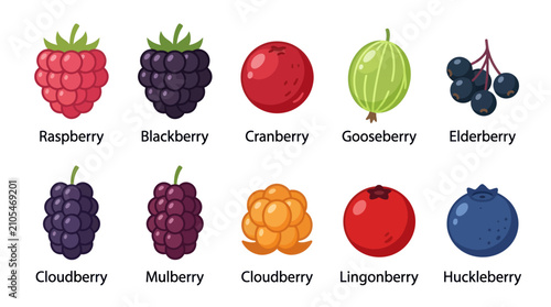 Bild auf Leinwand Collection of various fresh berries