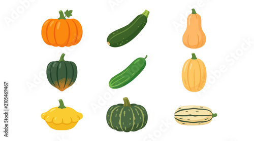 Tableau sur toile Variety of autumn squash and gourds