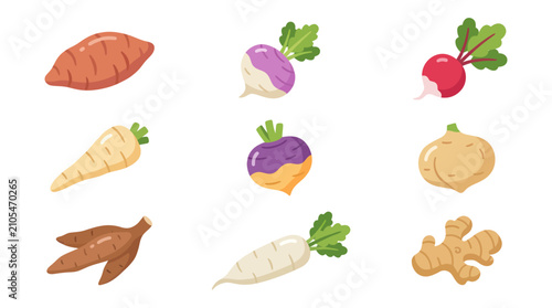 Foto Root vegetables collection