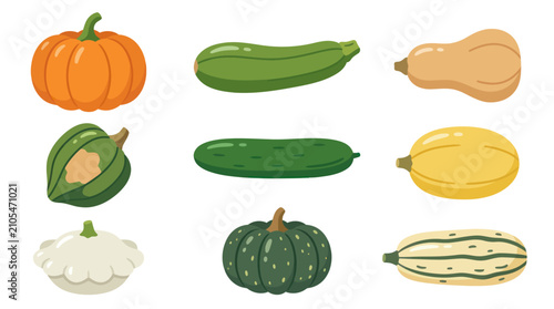 Photos Variety of squashes and gourds collection