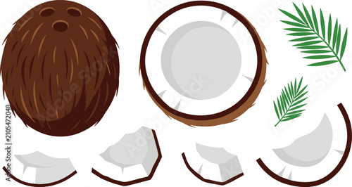Foto Tropical coconut flat vector icon collection with organic whole fruit white meat