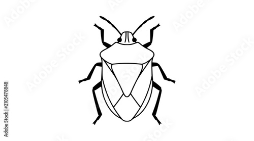 Fényképezés Stink Bug Outline Drawing - Simple Insect Illustration