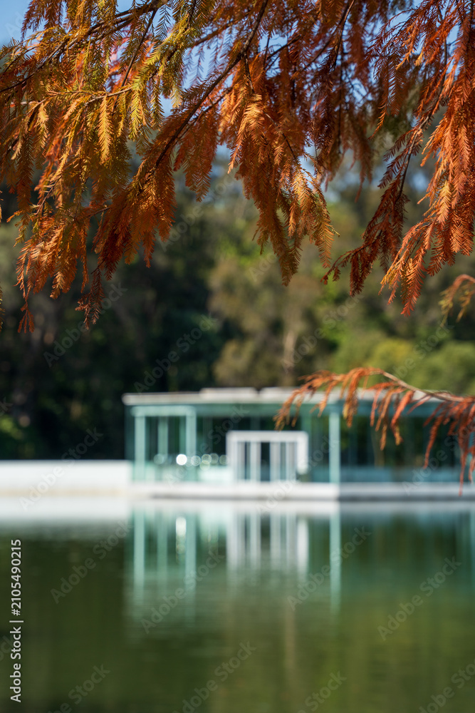 Obraz premium Autumn branches over calm lakeside with modern pavilion