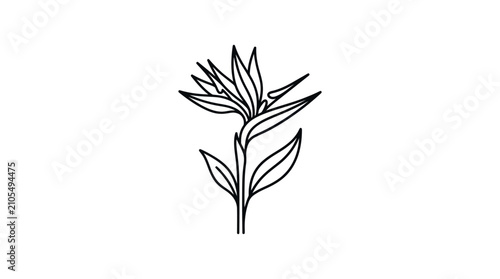 Simple line drawing of a flower.