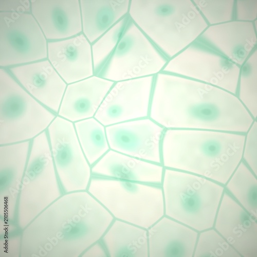 Canvastavla Abstract cellular structure with nuclei