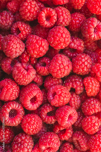 Background of ripe red raspberries
