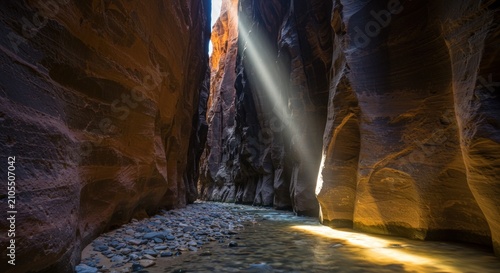 Sunlight in a rocky canyon.