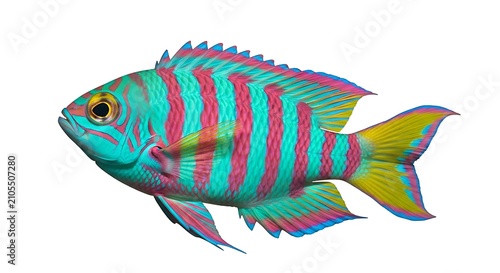 Colorful Tropical Fish Floating on Clean White Background