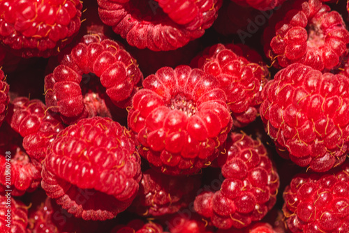 Background of ripe red raspberries