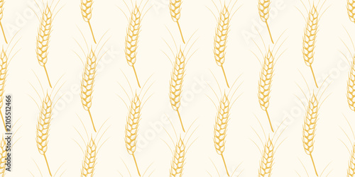Seamless pattern of ripe wheat ears. Cereal harvest background. Continuous print with ears of rye, barley, and oats, vector graphic
