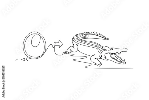 A crocodile emerges from an egg and grows into an adult.Metamorphosis concept.Single line draw design.Vector graphic illustration