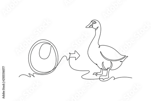 A goose develops from an egg into an adult bird.Metamorphosis concept.Single line draw design.Vector graphic illustration