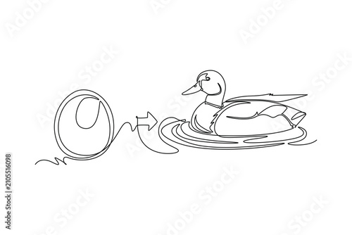 A duck hatches from an egg and becomes an adult duck.Metamorphosis concept.Single line draw design.Vector graphic illustration