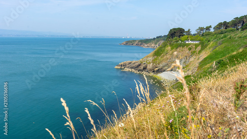 Summer Coastal Landscape in Howth, County Dublin