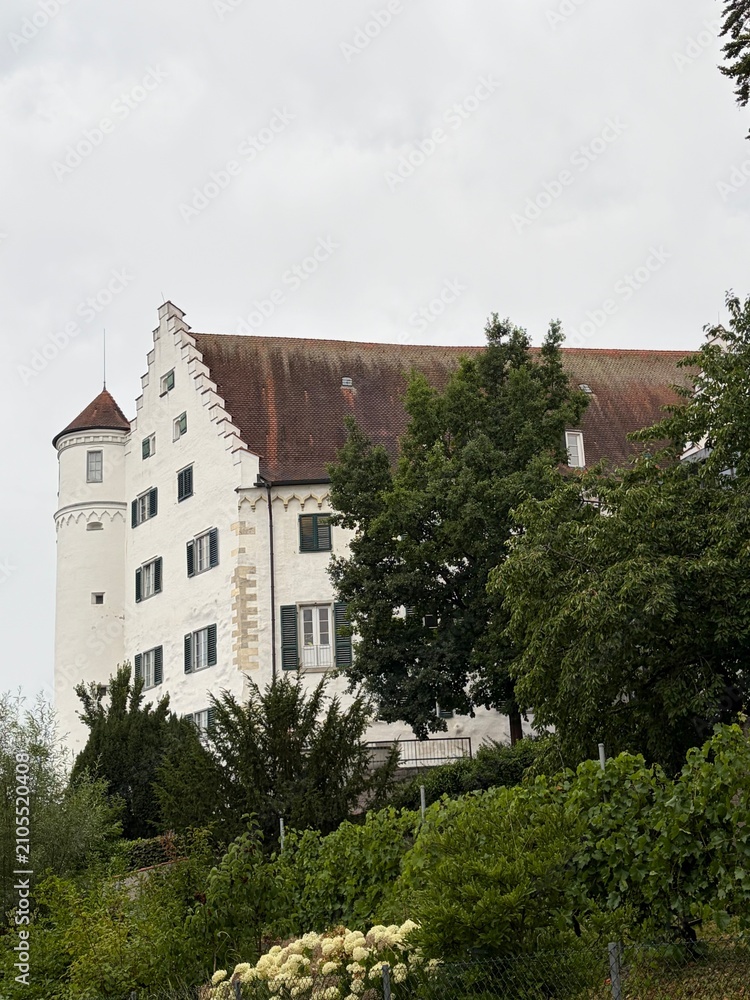 Obraz premium Blick auf Schloss Aulendorf im Zentrum der Stadt Aulendorf in Baden-Württemberg
