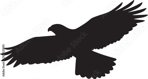 Photos Flying predatory bird graphic, perfect for wildlife, nature, and powerful symbol designs