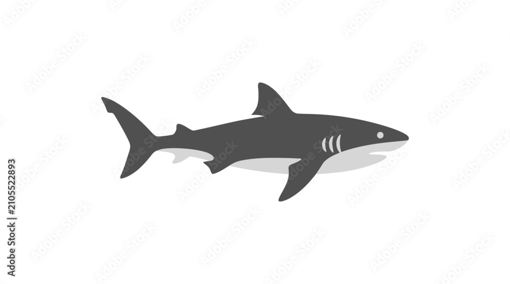 Fototapeta premium Gray Shark Swimming in Water.