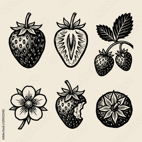 Strawberry sketch set in linocut style with whole fruit half blossom and leaf, isolated on cream background