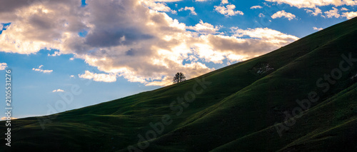 Obraz na płótnie Aerial view of Genie Holy Mountain, lone tree and alpine flower meadow under blu