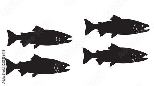 Photography Fish Silhouette Set with Simple Vector Style, Bold Shapes, Fins and Gill Details
