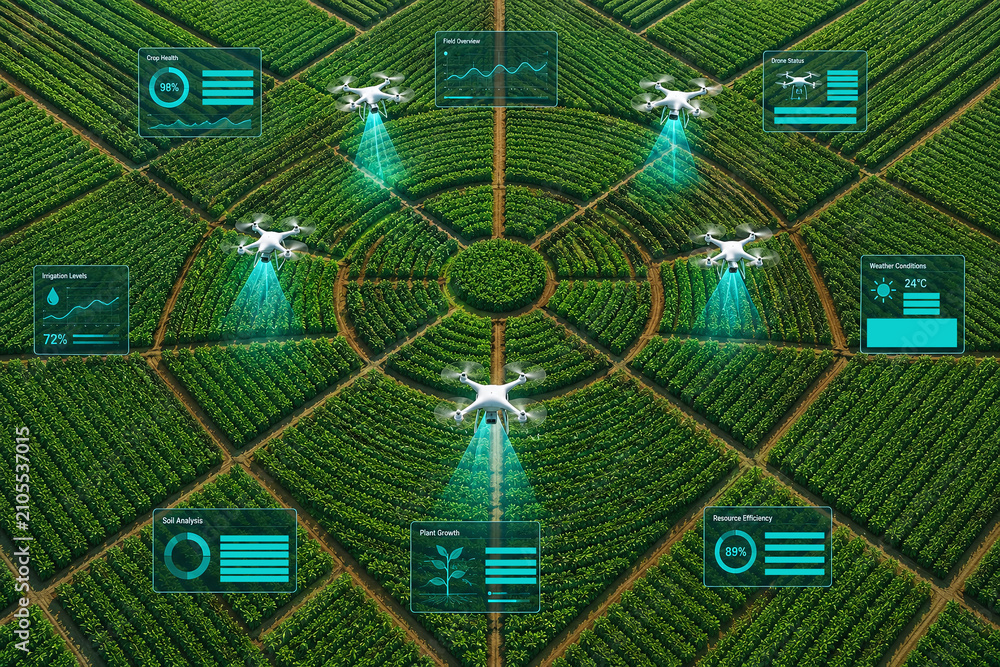 Obraz premium Aerial top-down view of autonomous drones scanning a green plantation with digital data dashboards. Smart farming technology, IoT, and precision agriculture concept for crop monitoring.