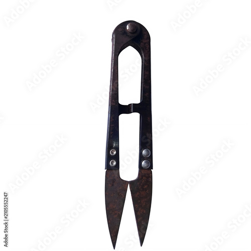 Quadro su tela Black plastic garden plant support clip