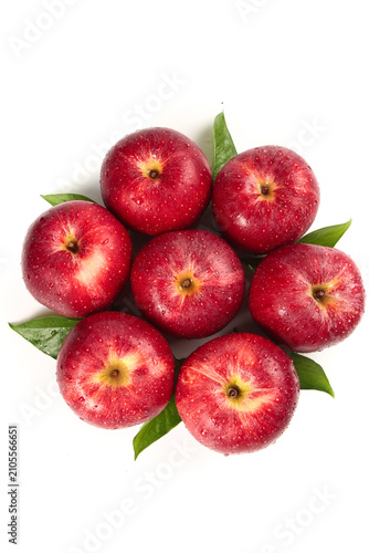 Fotografía Fresh Red Fuji Apples with Green Leaves from Shaanxi Plateau China on White Back