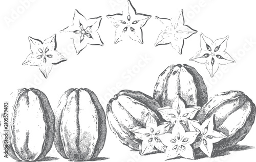 Konstfotografi Vintage engraved starfruit illustration collection featuring whole carambola fru