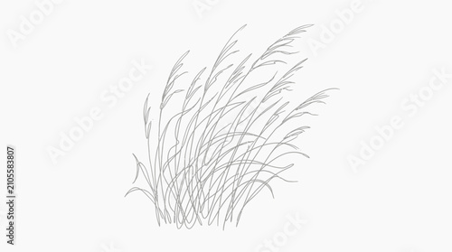 A delicate hand drawn sketch of a cluster of wild grass swaying in the wind.