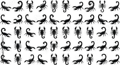 Obraz na płótnie Scorpion Black Silhouette Icon Set featuring Various Arachnid Poses Deadly Dese