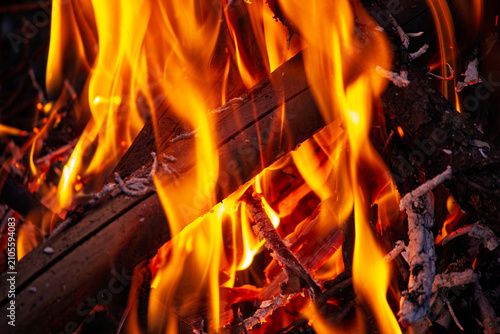 Obraz na plátně Intense blazing flames dance around dark wooden logs in a bonfire, creating a me