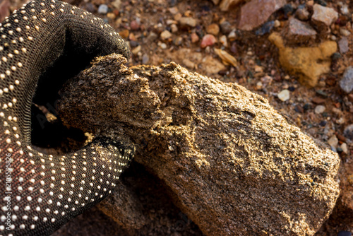 Foto Gloved hand holding crumbling granite gneiss, demonstrating natural geological w
