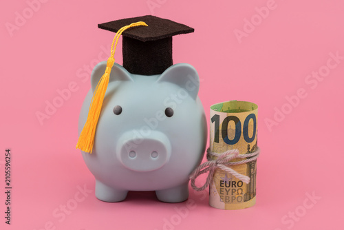 Conceptual image regarding the cost of education in the European Union, featuring a piggy bank wearing an academic cap and a 100-euro banknote on a pink background.