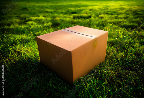 Cardboard delivery box on g...