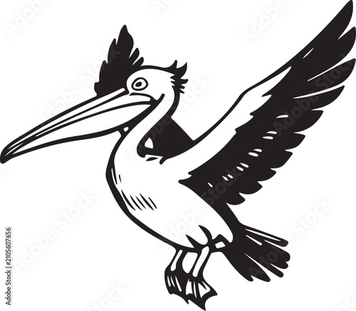 pelican vector illustration