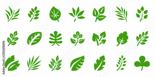 Photography Green Leaf Icons Collection Flat Vector Illustration On White Background